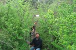 DSC02569.jpg