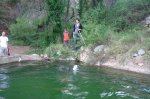 DSC02572.jpg