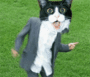 5483.gif