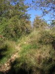ERNIO (05-XII-3) 011 (Medium).jpg