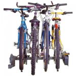 asset_847603.jpg
