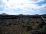 DSCN7943.JPG