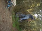 DSC01495.JPG