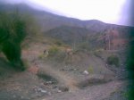 Imagen0791.jpg