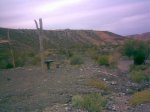 Imagen0831.jpg