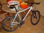 DSC04104.jpg