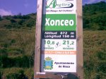 Xonceo1.jpg