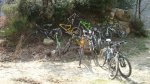 DSC01078.jpg