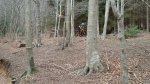 DSC01084.jpg
