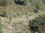 Imagen 017.jpg