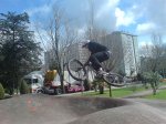 DSC00326.jpg