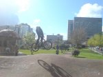 DSC00328.jpg