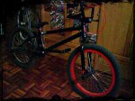 bmx1.jpg