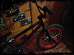 bmx2.jpg