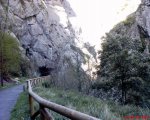 DSC00359.JPG