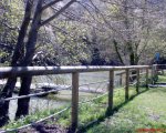 DSC00357.JPG