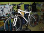 bici progress 003.jpg