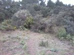 Foto0041.jpg