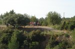 DSC02610.jpg