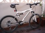 bici progress 005.jpg