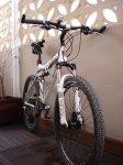 bici progress 012.jpg
