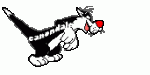 cann2ff8.gif