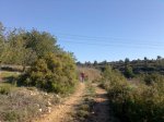 Imagen018.jpg