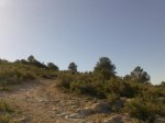 Imagen021.jpg