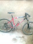 IMG020.JPG