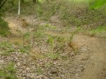 DSC01735.jpg