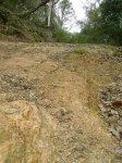 DSC01738.jpg