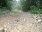 DSC01737.jpg