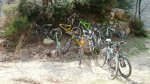 DSC01078r.jpg