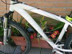 lanza 024.jpg