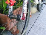 lanza 025.jpg