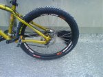 DSC01866.jpg