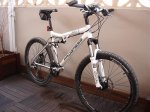 bici progress 009.jpg