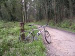 DSCN1007.jpg