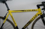 bici casientera.JPG