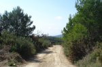 DSC02630.jpg