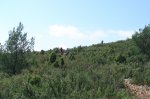 DSC02636.jpg