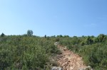 DSC02639.jpg
