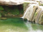 MERCE 2006 067 (Large).jpg