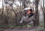 salto2.jpg