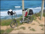 2bici.jpg