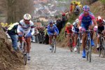 WATSON_bettini_kop_04.jpg