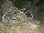 DSC05710.jpg