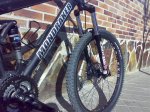 04042008279.jpg