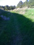 04042008644.jpg