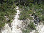 DSC01107.jpg